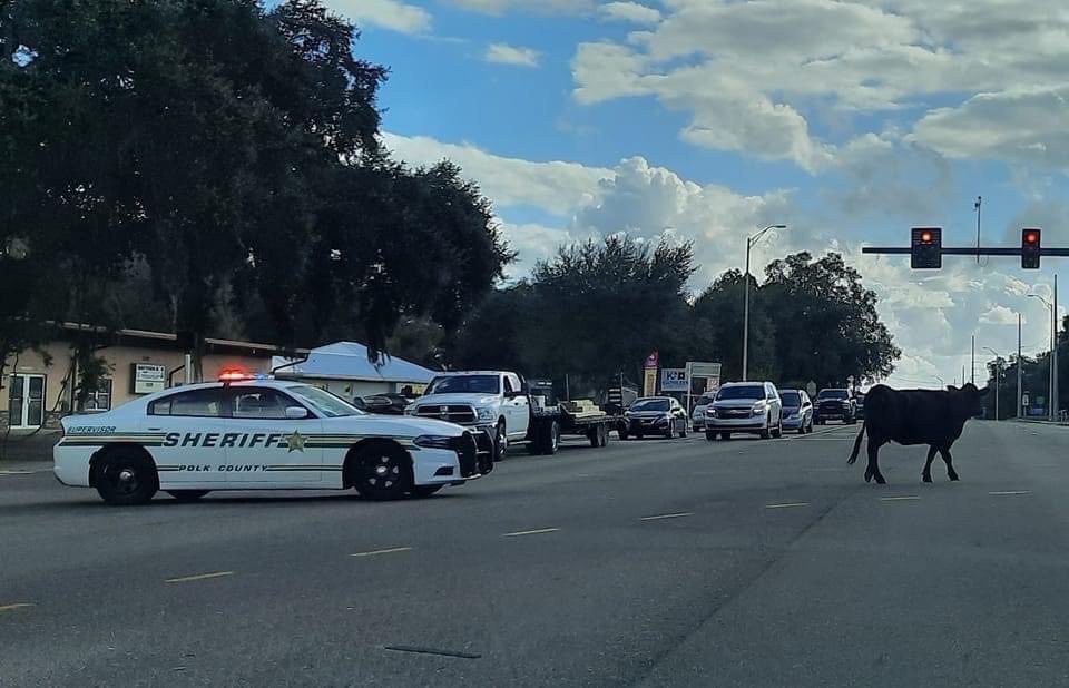 If you’re from #Kathleen this doesn’t surprise you at all …. #IYKYK #ThisIsPolk #WeLiveHere