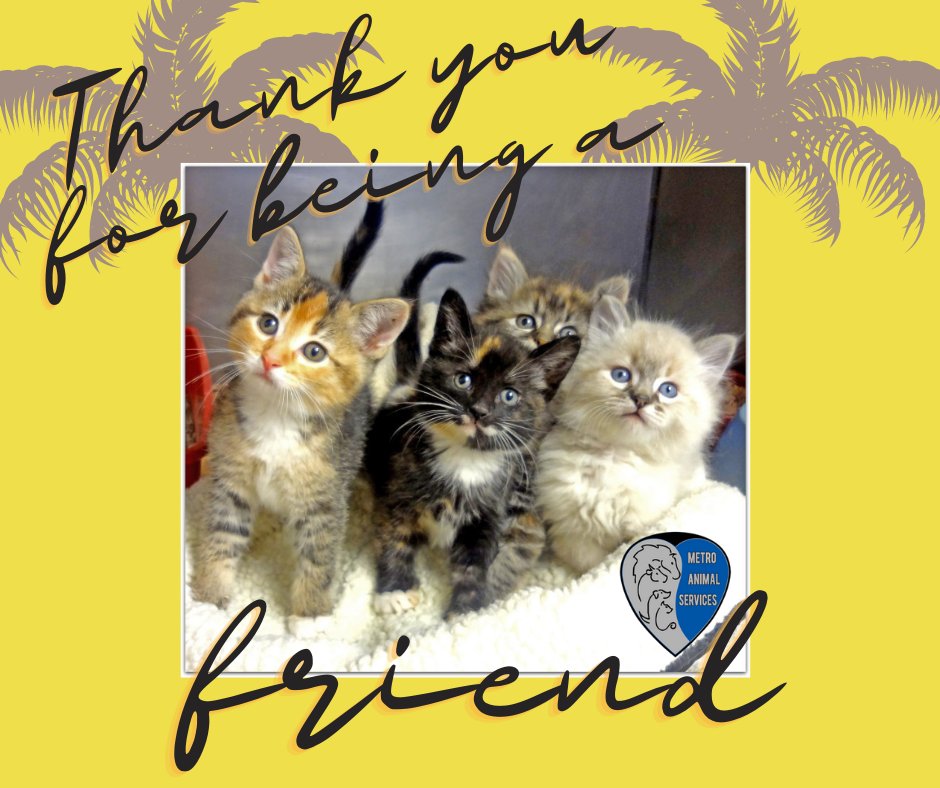 Our own Metro Animal Services shelter is receiving donations in honor of the great #BettyWhite. Metro serves the pets and people of #Sumner. Thank you for being a friend!  

If you'd like to give too, here's the link: metroanimalservices.org/i-want-to-help…