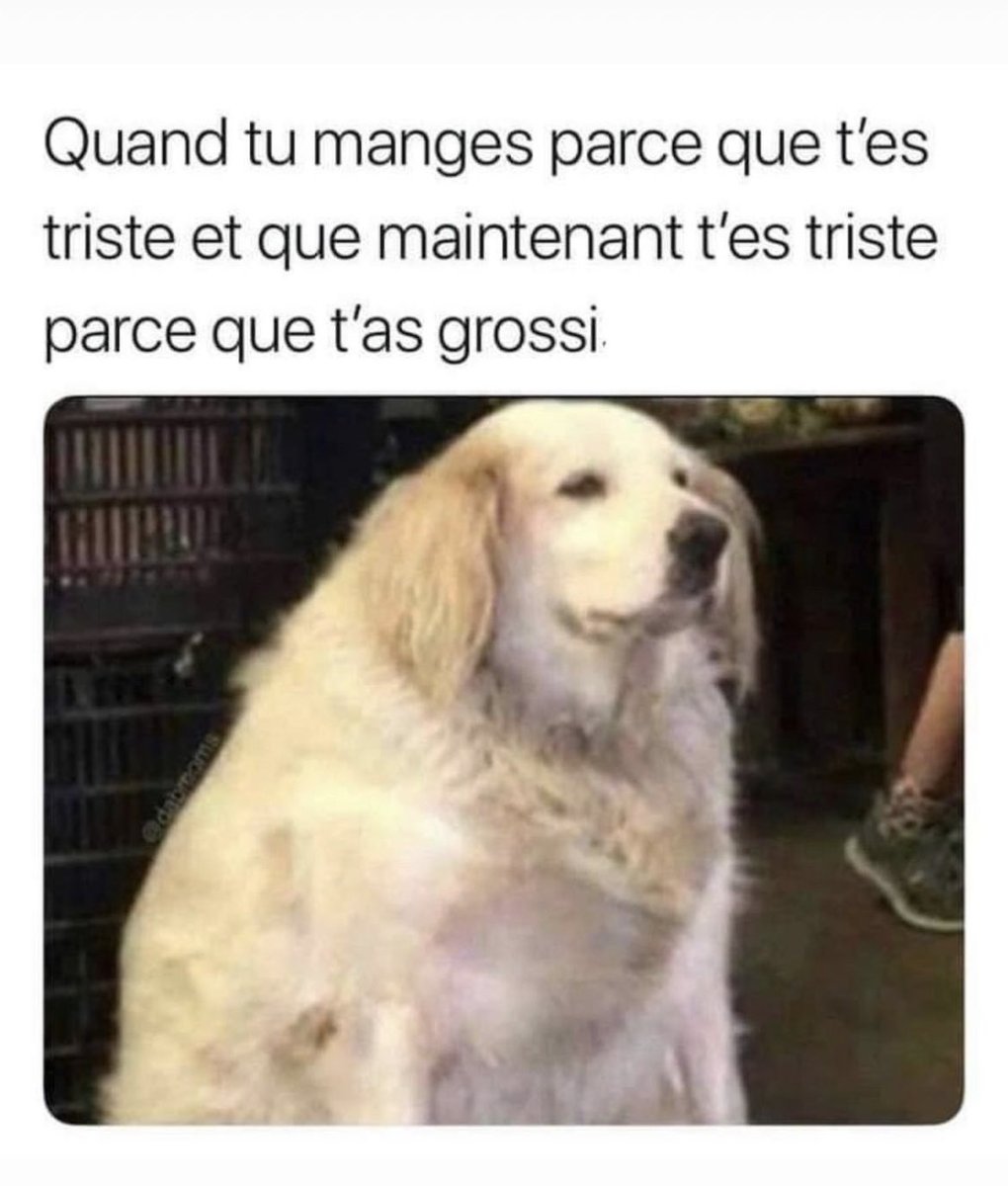 MaNou68738389's tweet photo. Ça aussi c’est toute ma vie 🤷‍♀️🙄😏 https://t.co/ZzymPSoAH9