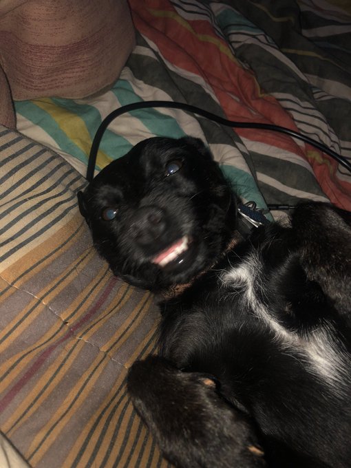 STREAMING FORTNITE lmaooooo COME ROAST ME! And follow!!! https://t.co/7wwXOPsxVD #Fortnite https://t<a href="/tag/fortnite"class="tags"><span>#fortnite</span></a>