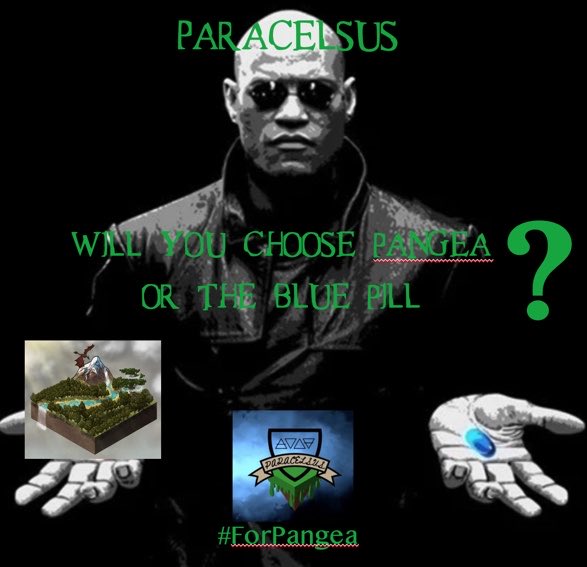 jkong910's tweet photo. Come join us at @ParacelsusNFT! Come jump in, and join us in the metaverse. #ForPangea https://t.co/inOqLWN3Iy