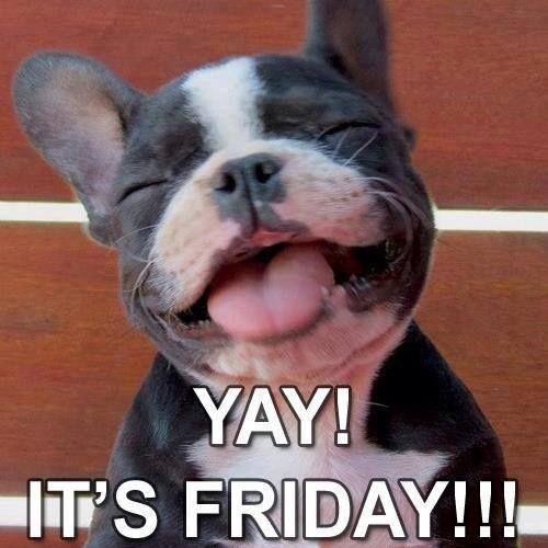 CSU_ADVISE's tweet photo. We have that Friday Feeling! Hope you have a great day and a wonderful weekend! #FridayFeeling #WeekendVibes https://t.co/U2He5HUG3T