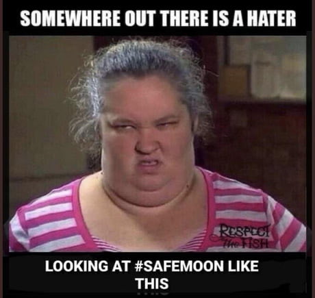 dmiller1464's tweet photo. @scottycoin @safmoon https://t.co/KOkqVbeS0C