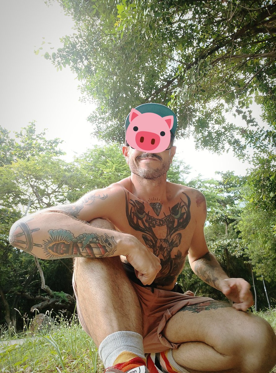 PIGbarePortaAbertaSP 10K tweet media