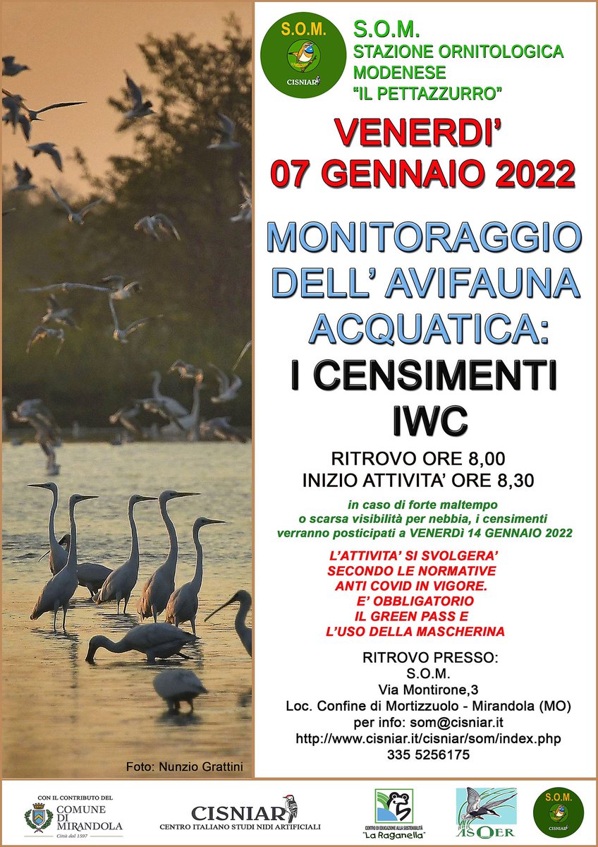 SCisniar's tweet photo. Carissimi amici,

siamo lieti invitarvi ai censimenti IWC 2022 degli uccelli acquatici . 

Ci troviamo VENERDI' 07 GENNAIO 2021  ALLE ORE 8,00 PRESSO LA SOM. https://t.co/p3PhWZCfPd