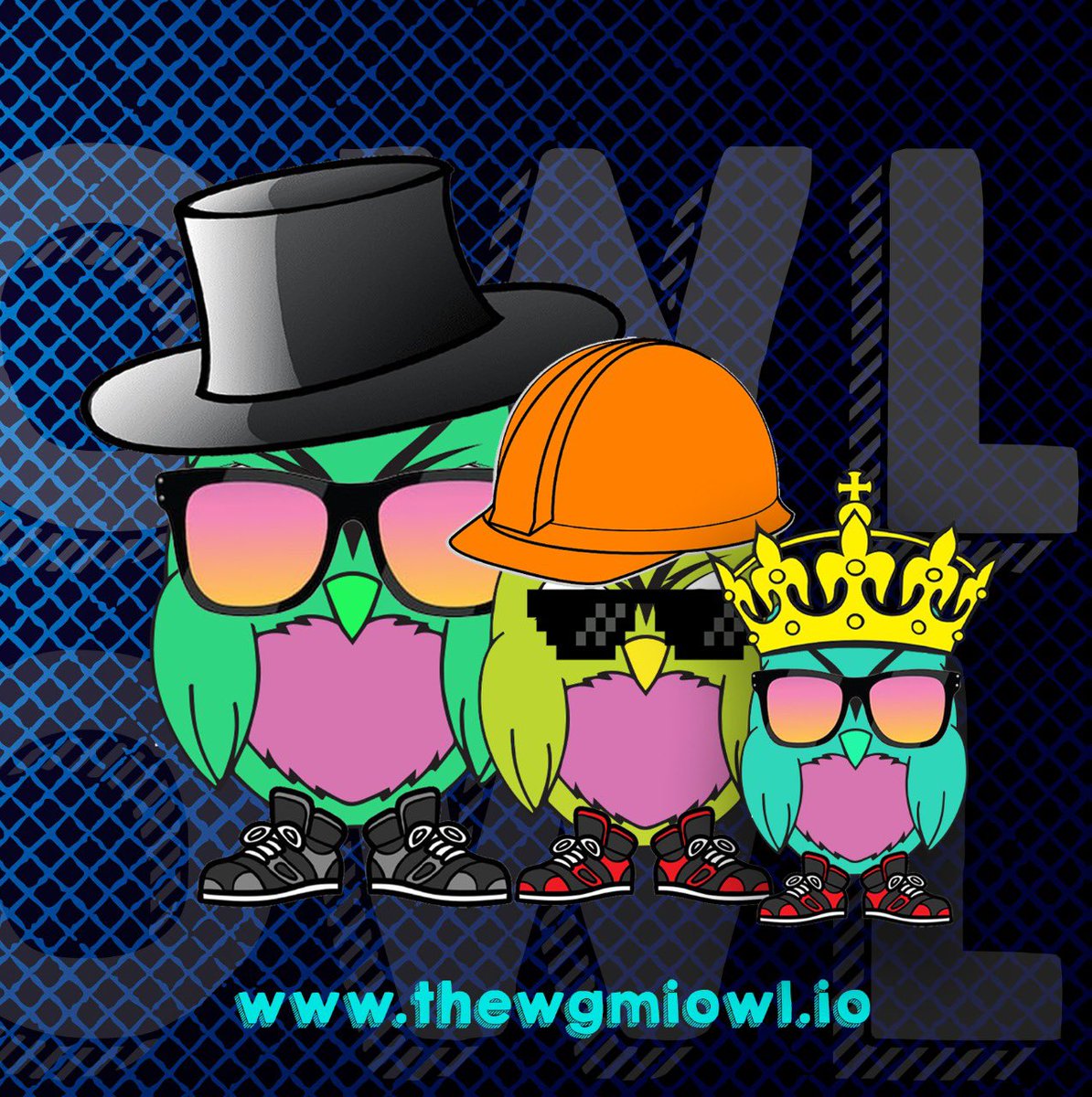 Roshni Touqeer tweet media