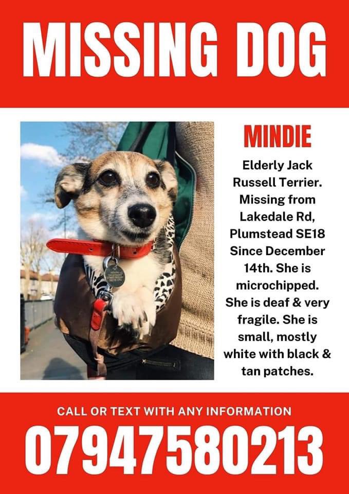 Happy New Year #GreenwichHour. Thank you for all the support and RTs for #SE18 #MissingDog Mindie. A Twitter storm has been organised for this Thu 7-8pm. Please continue to speak to neighbours, check gardens/outbuildings to help #FindMindieSE18 #DogsofTwittter