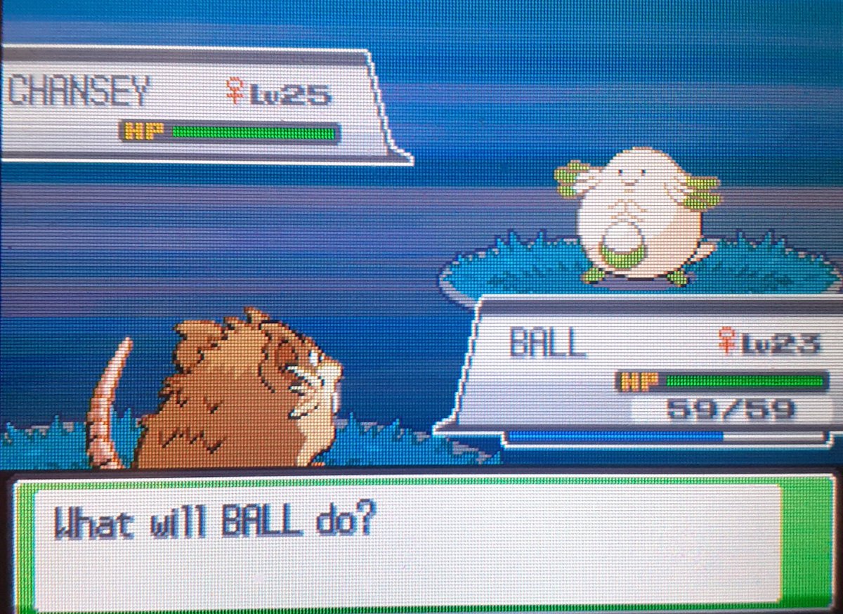 Shiny Chansey after 5856 REs!! SBQ #15