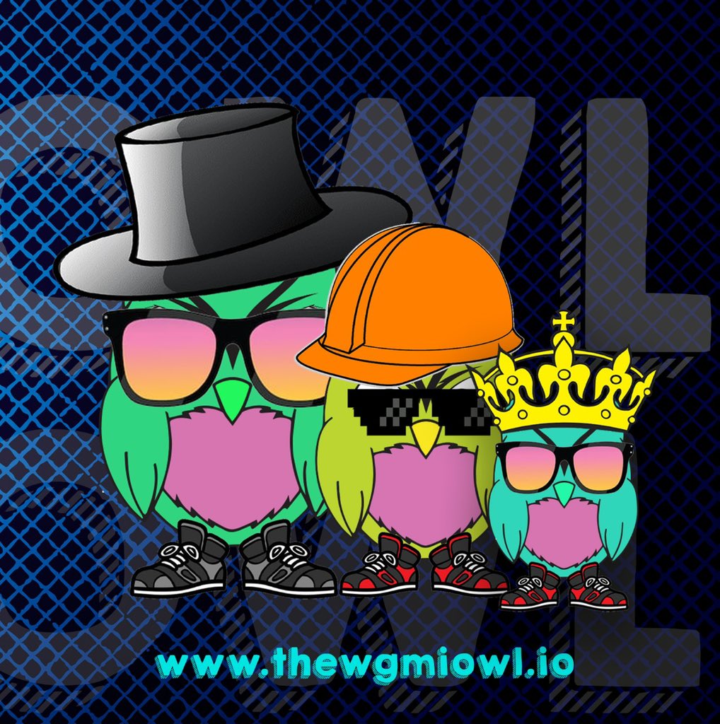 Roshni Touqeer tweet media