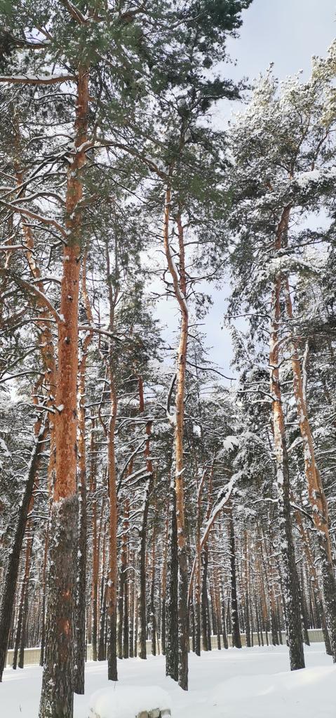 Вы посмотрите какая красота