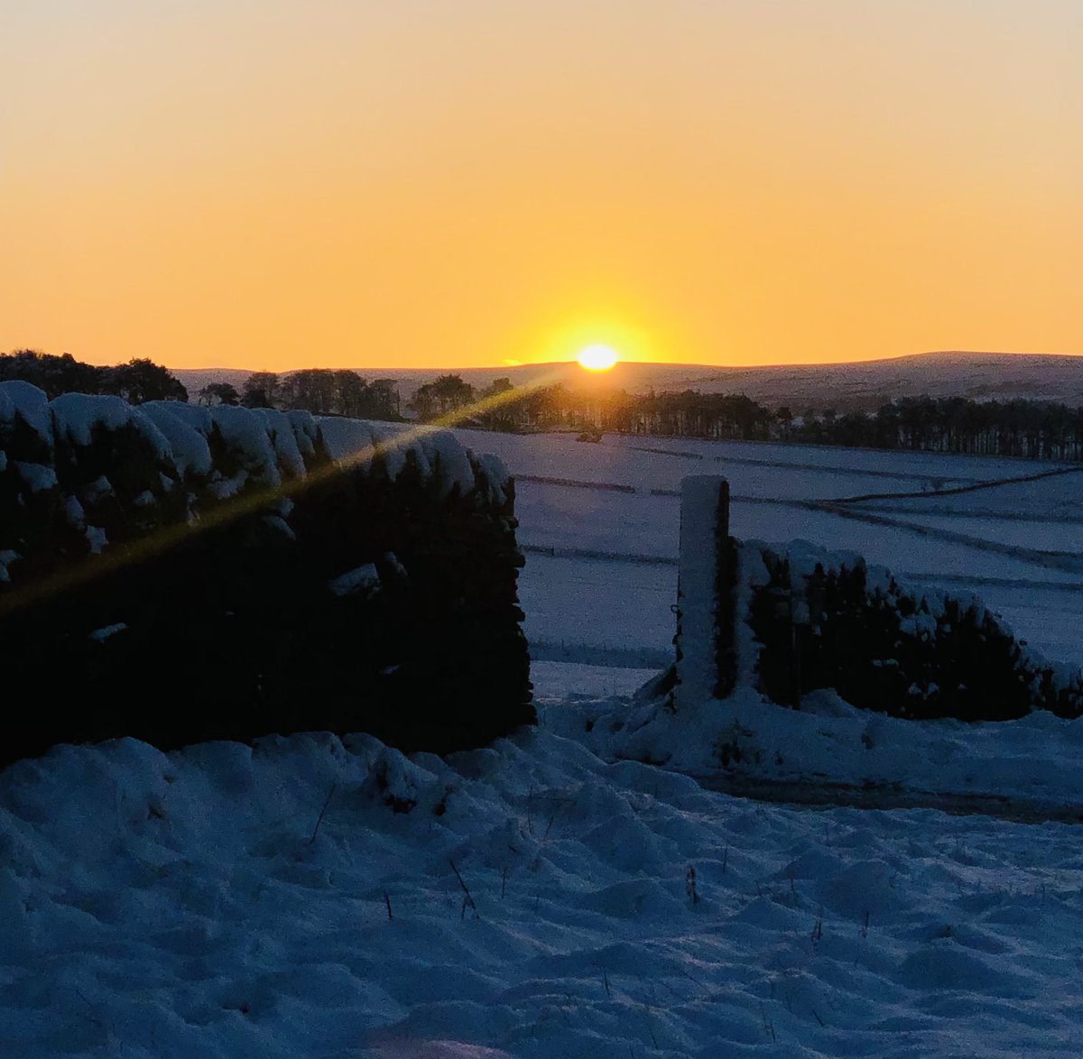 marksebwallace's tweet photo. Northumberland today. https://t.co/Rj0Iqkn2yn