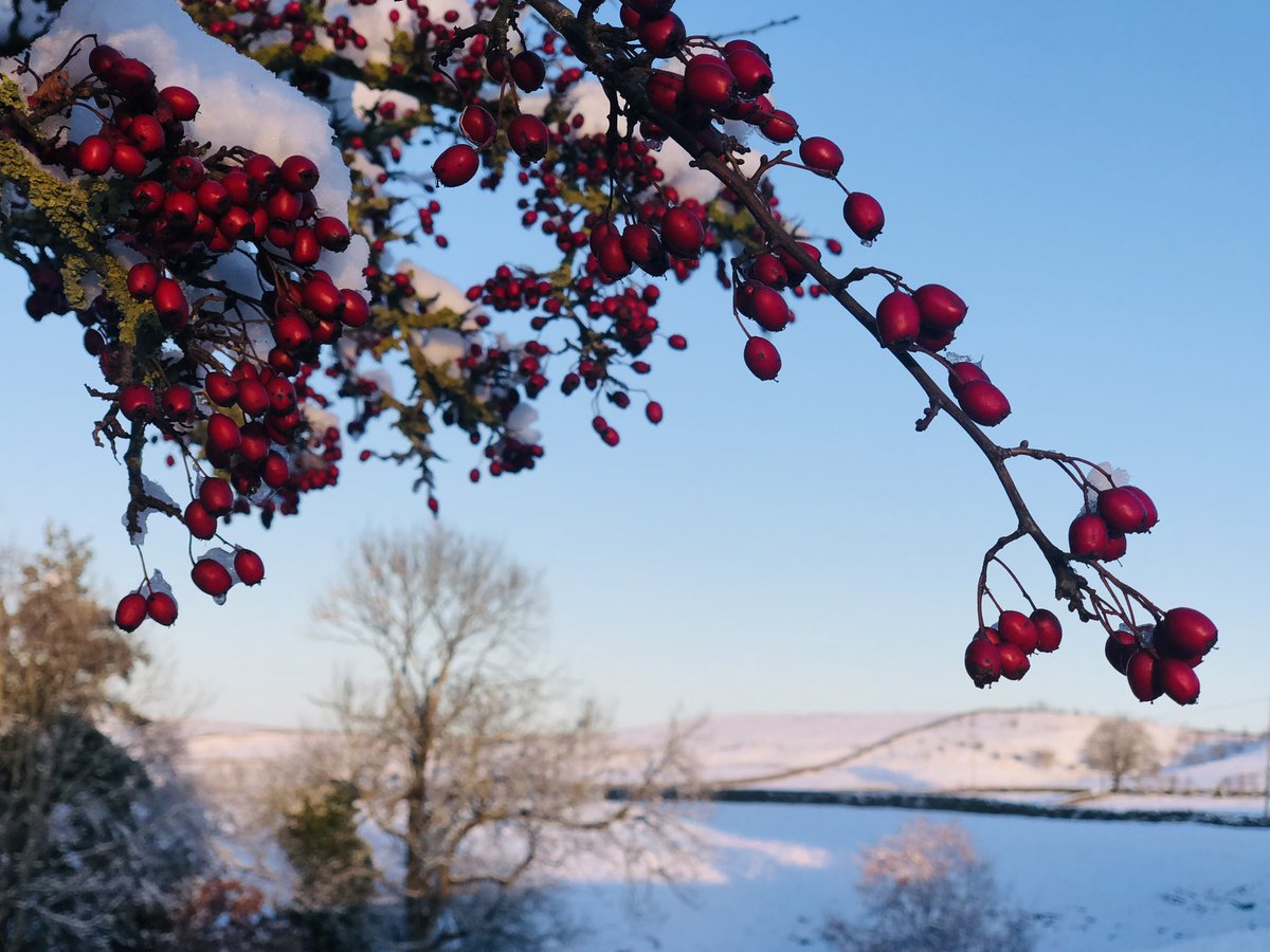 marksebwallace's tweet photo. Northumberland today. https://t.co/Rj0Iqkn2yn