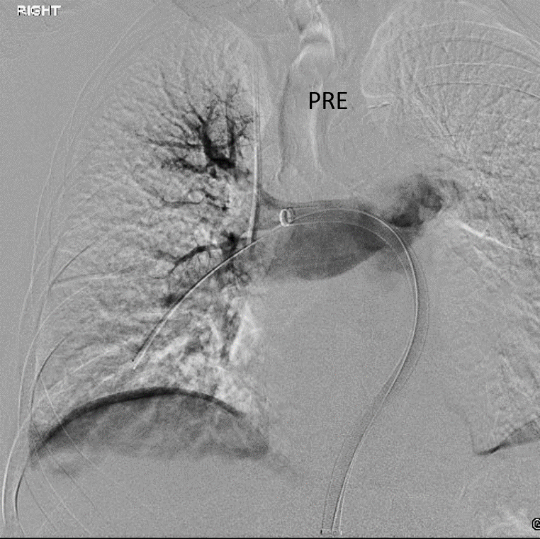 Julie Bulman, MD tweet media