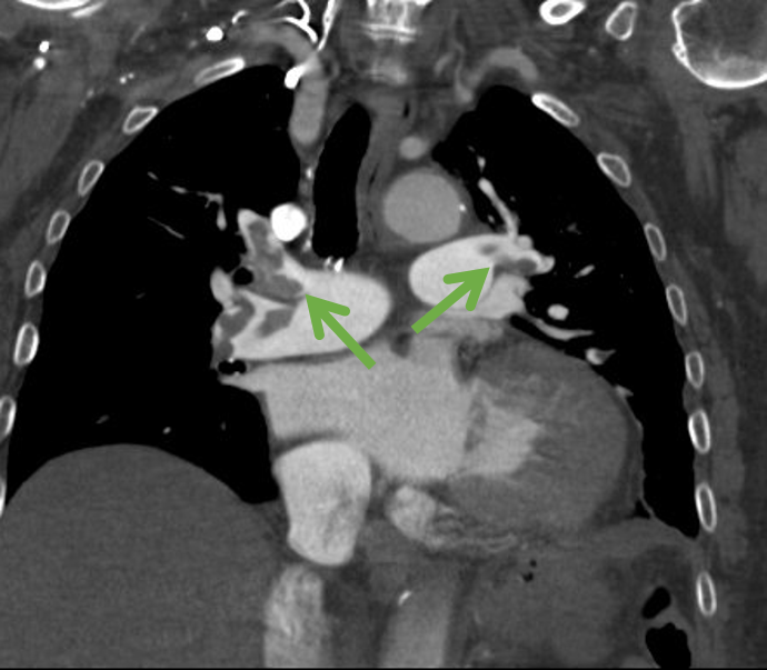 Julie Bulman, MD tweet media