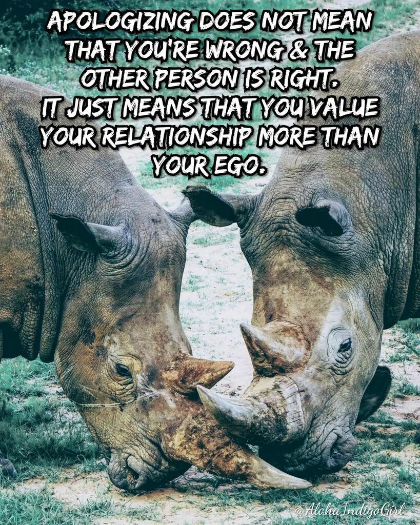 AlohaIndigoGirl's tweet photo. ๐
Photo credit @florian_arnoldson ๐๐ป
#apologize #ego #valueeachother #bekind #life #relationship https://t.co/zWAbzpT6an https://t.co/vY4VKOGdRA