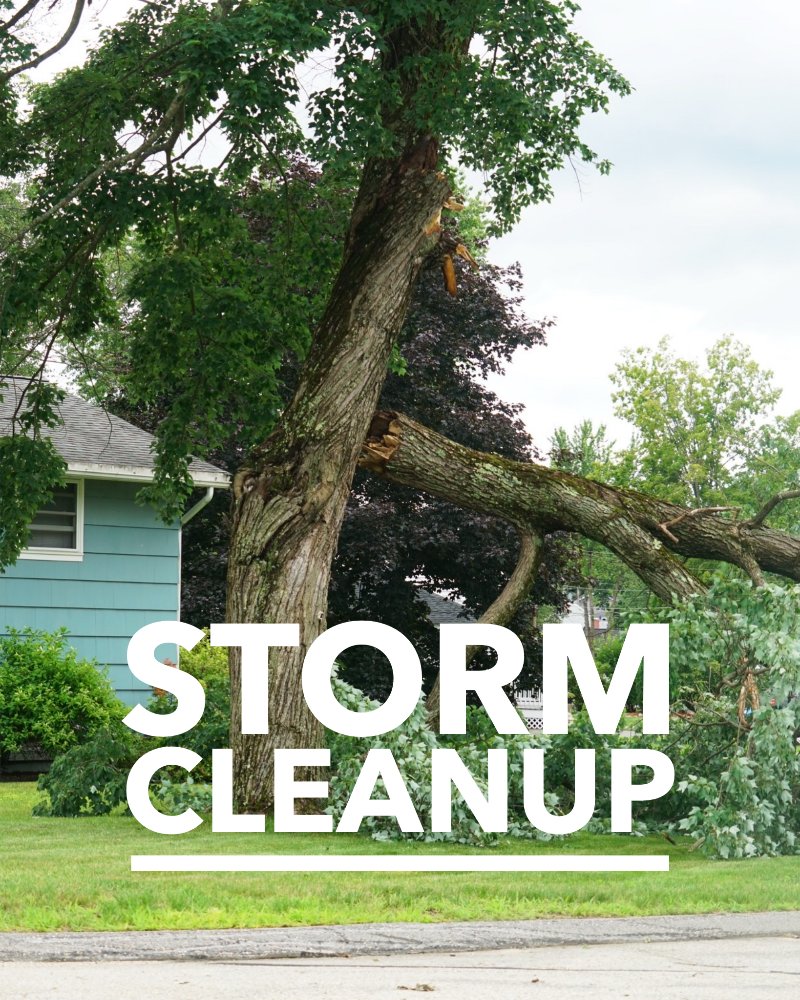 Paradisescapes's tweet photo. ❄ Storm damage clean up services to the rescue! - https://t.co/AABJcpNOa5 https://t.co/C4XnnxIVC7