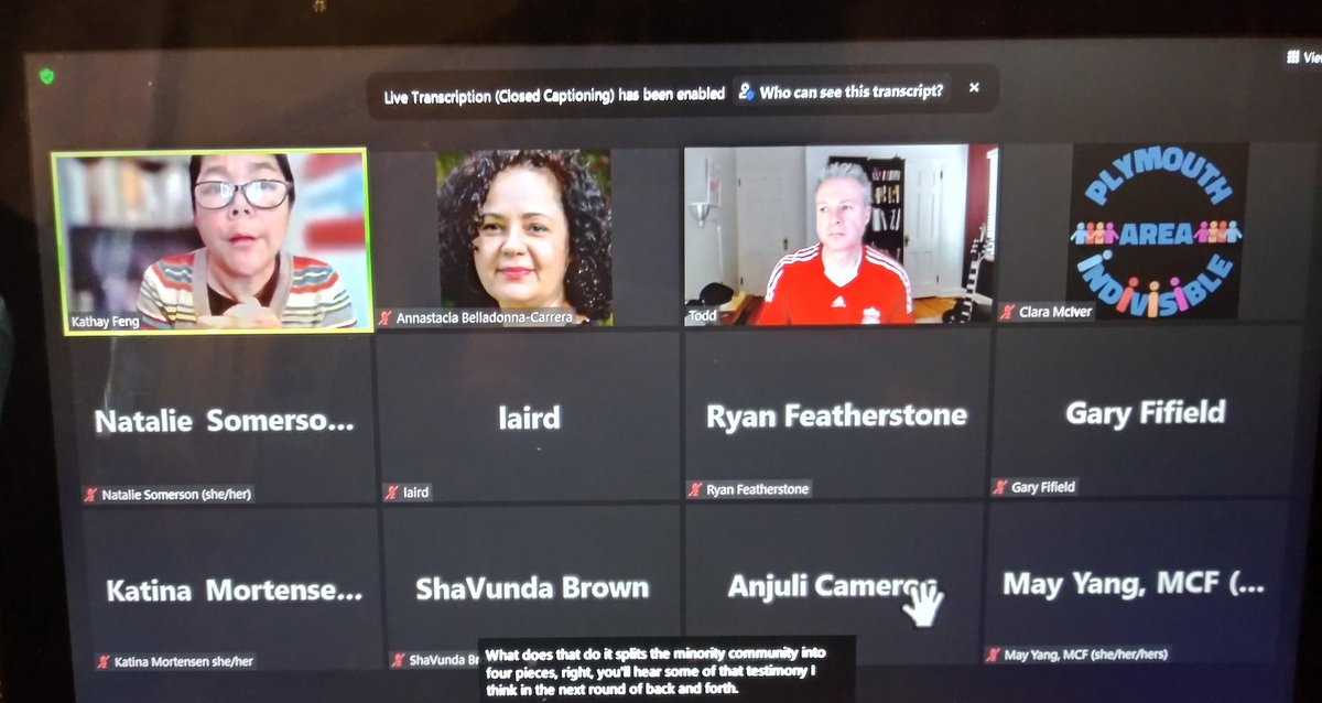 commoncausemn's tweet photo. While the Court takes a break we continue discussions in our zoom watch party 🎉 #OurMapsMN https://t.co/JH00N8lUV9