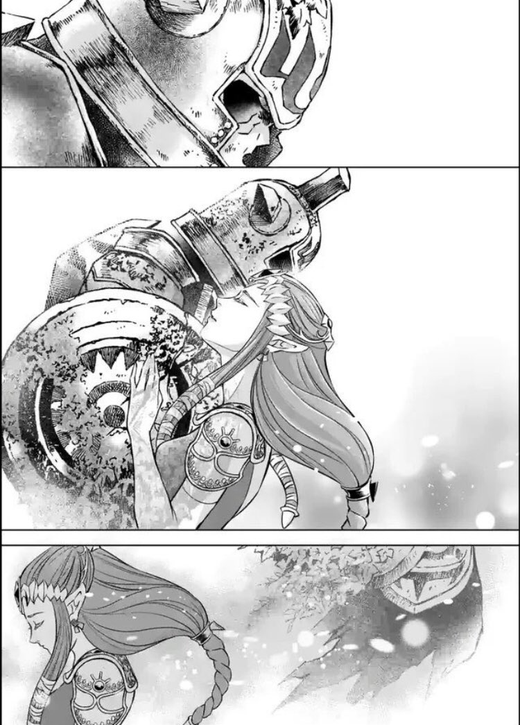 Twilight Princess Manga Volume 11 Read Online The Hero’s Shade’s true identity in Zelda: Twilight Princess. | Page 2