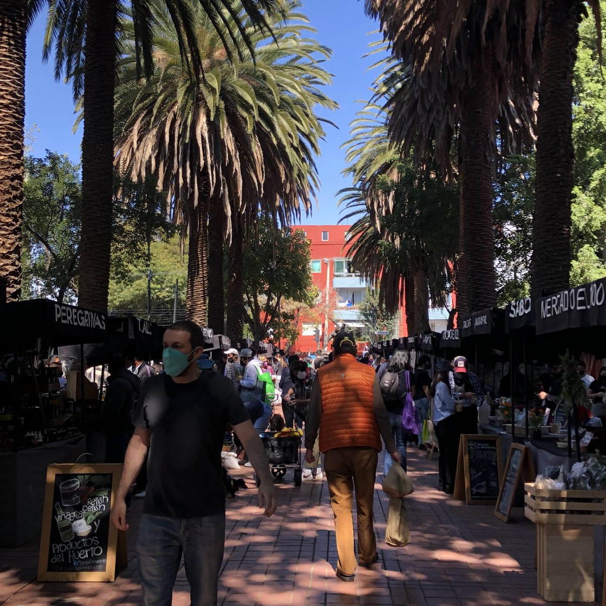 Mercadoel100's tweet image. Este domingo Mercado el 100 está de regreso 🙌 y venimos con todo!! ✨

También puede hacer tu pedido en línea, entregamos en toda la CDMX 🛒🥬🛺

#2022 #feliz2022 #comprasresponsables #consumoresponsable