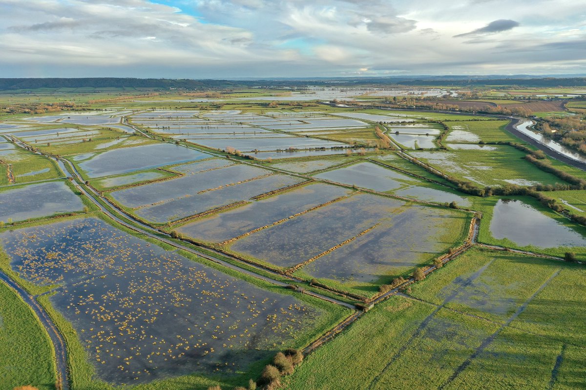 WWTworldwide's tweet photo. 📢 We're recruiting for a Principal Research Officer!

Help to lead our flourishing floodplains project and gather evidence around wetland carbon storage 💧🌱

⏰ Deadline 11th Jan
✍️ Apply here > https://t.co/48znTQYyu0 https://t.co/XSNrVkzGDq