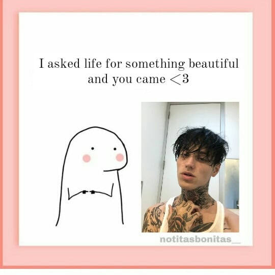 karlaxaaron's tweet photo. Hi, I'm Karla, I'm 16 years old, I'm from Mexico. I have been following Aaron for 4 months aron is my safe place and the best of my life and I am very proud of the HAPPY BIRTHDAY OLD RATS I LOVE YOU I <3I wish you the best💗💐 @itaintaaron #happybdayaaron #integrationaaronstans https://t.co/K6LKJkYh2q