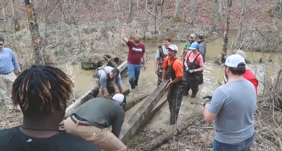 Orchard Starkville tweet media