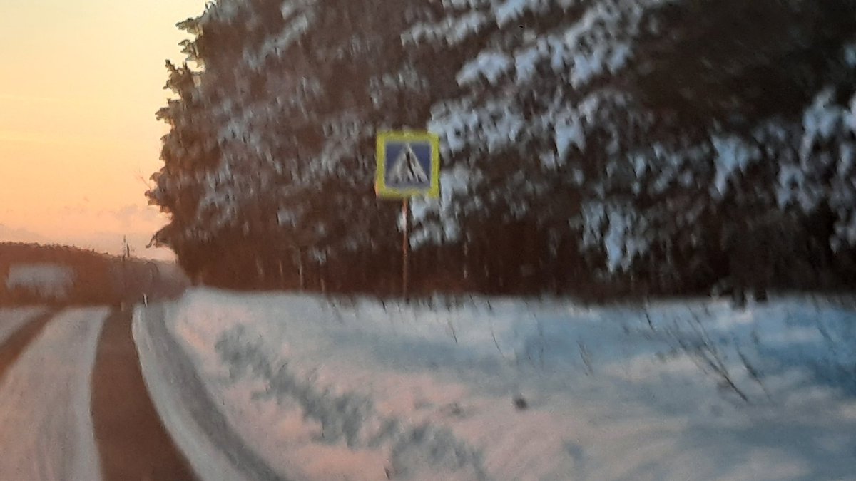 Comdi12's tweet photo. В рубрике рашнсноу и рандомная херня 
#russiansnow #forest #наверноекрасиво https://t.co/xC09XG36Nf