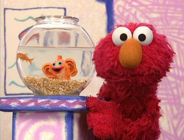 urfaveismelanin's tweet photo. Elmo, from Sesame Street, is most definitely black!!! -🪴 https://t.co/2HHL5waXqJ