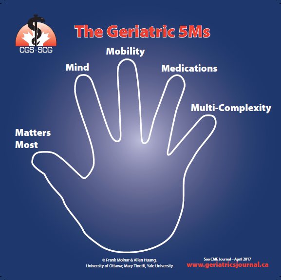 Nimit Agarwal (@nimitagarwalmd) on Twitter photo I often get asked what do I do in #geriatric medicine as compared to a #hospitalist. My answer is the management of the #5Ms that most Hospitalists are not doing as part of routine patient care.
It’s usually an a-ha moment! <a href="/AmerGeriatrics/">American Geriatrics Society</a> <a href="/TheIHI/">Institute for Healthcare Improvement (IHI)</a> <a href="/GoalsDriveCare/">Mary Tinetti</a> I often get asked what do I do in #geriatric medicine as compared to a #hospitalist. My answer is the management of the #5Ms that most Hospitalists are not doing as part of routine patient care.
It’s usually an a-ha moment! <a href="/AmerGeriatrics/">American Geriatrics Society</a> <a href="/TheIHI/">Institute for Healthcare Improvement (IHI)</a> <a href="/GoalsDriveCare/">Mary Tinetti</a>