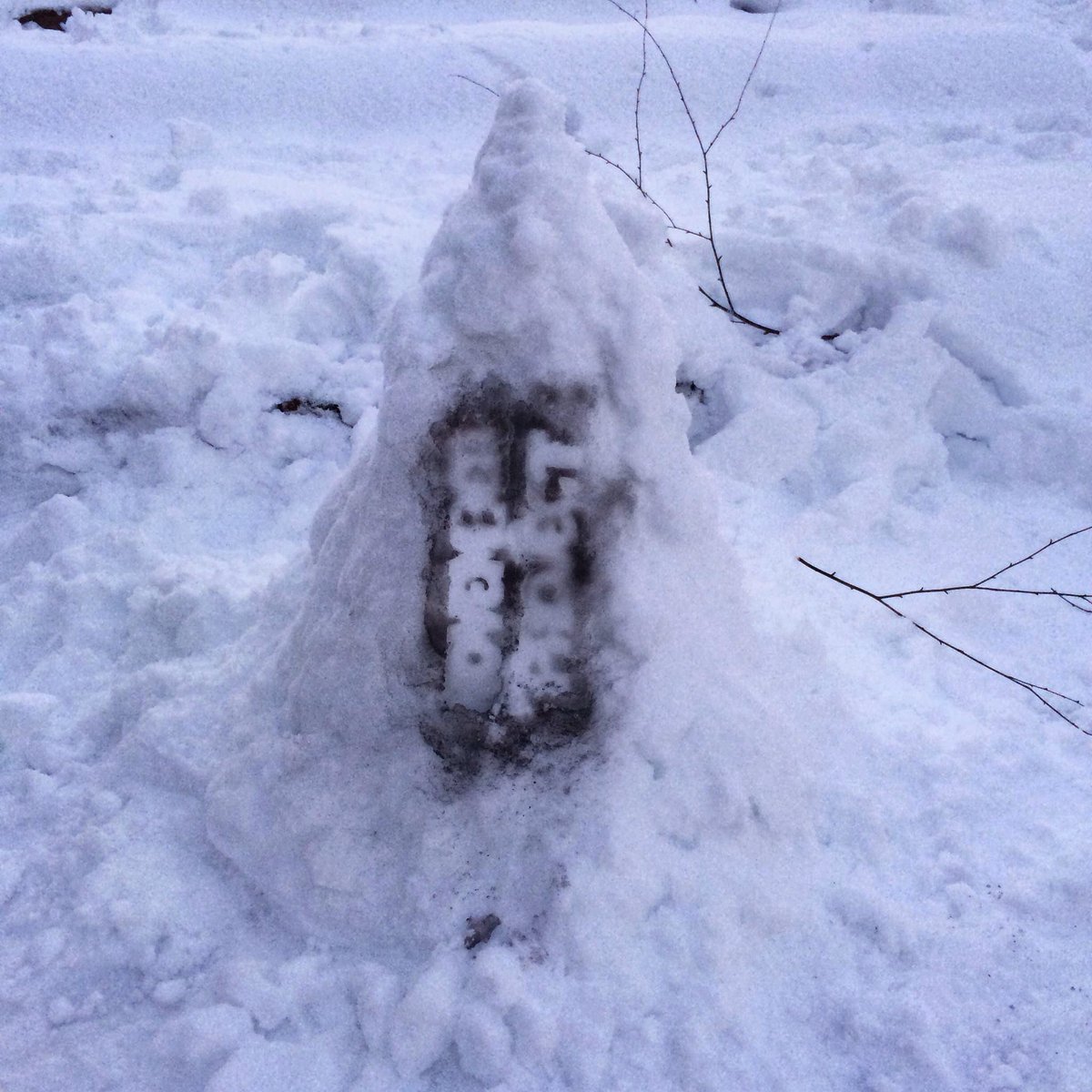 We’ve got a workout tomorrow! Invite any snow people you see out there today! 6:20 am at the Lincoln memorial!