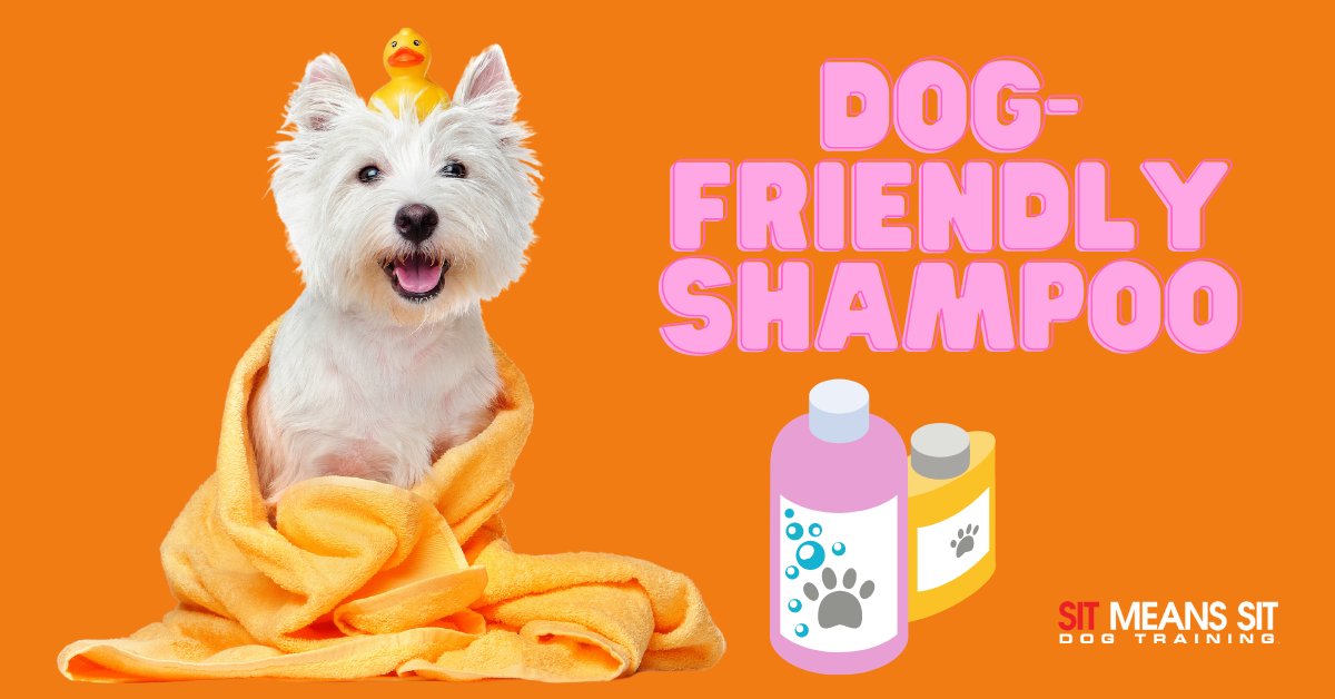 SMSTulsa's tweet photo. The Best Dog-Friendly Shampoo | https://t.co/EUixsm8ybE https://t.co/36wytZRPnB