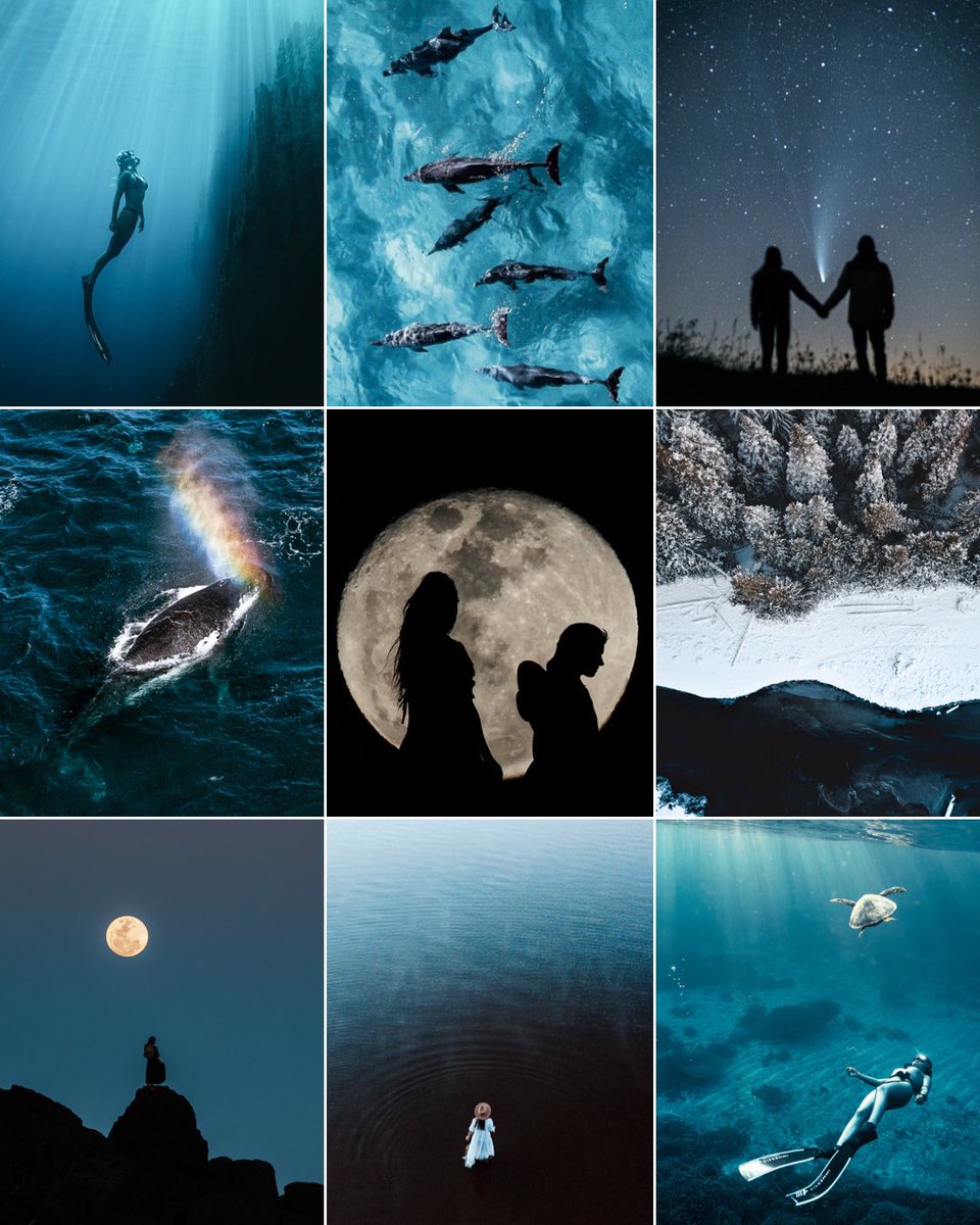 Melissa_F_Photo's tweet photo. My name is Melissa Findley, I’m new here. Hi! I’ve held a camera in my hands since I was 13, I’m 33 now. Photography is my life’s passion. My body of work focuses on nature and our place within it. ✨ https://t.co/O5JzXuNjaY