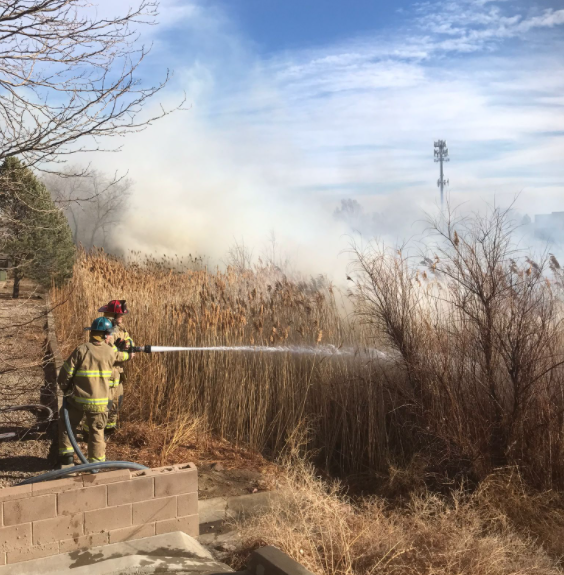 AVOID THE AREA 

Please avoid Fortino Blvd. between Outlook Blvd. and Elizabeth St. due to a prairie fire.