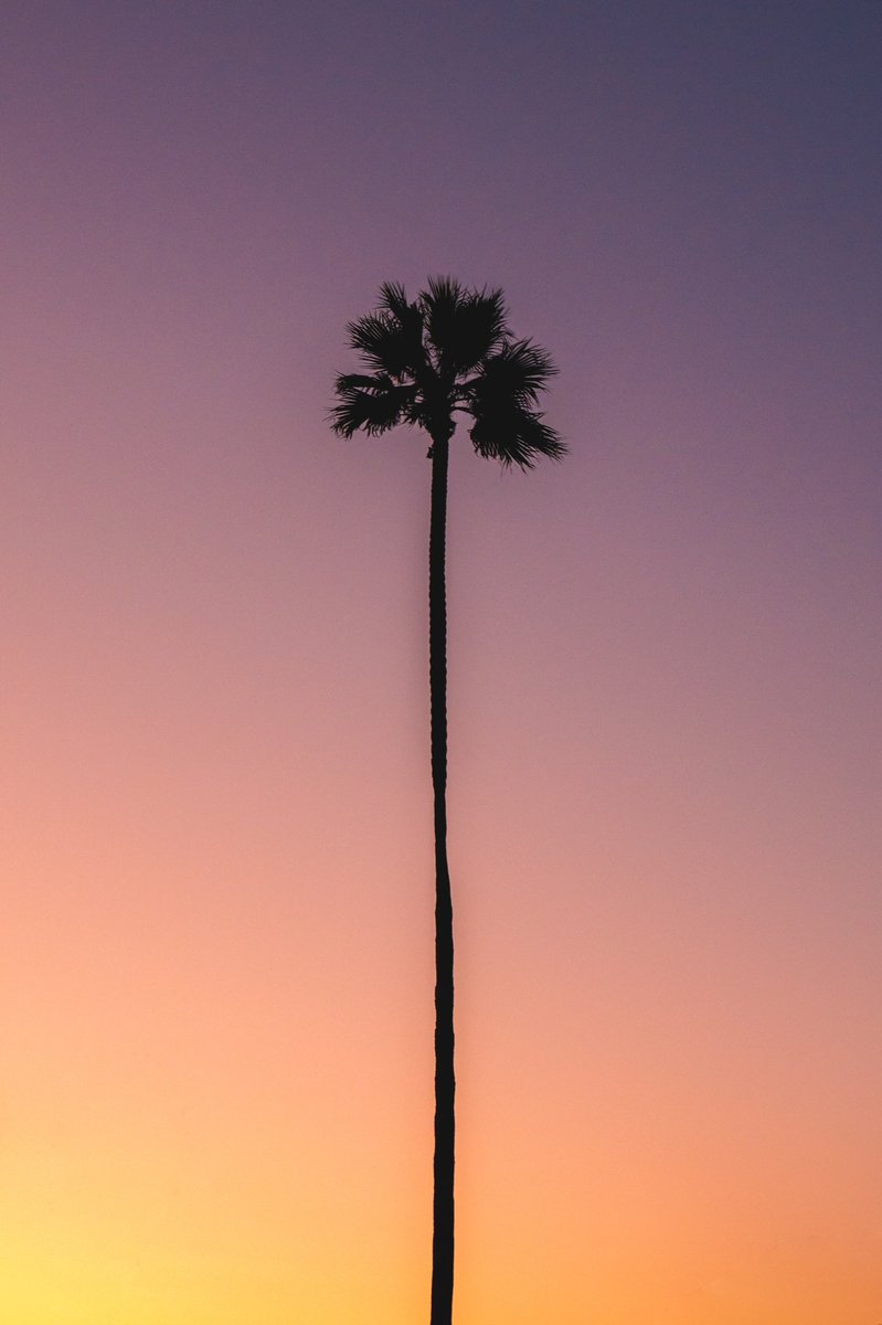 Darin | debodoes tweet media