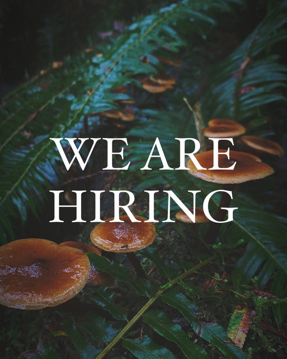 SeattleBread's tweet photo. We are looking for folks to join our team! If you're interested, please swing by with a resume and we'd love to talk! https://t.co/cZddjpTGiF