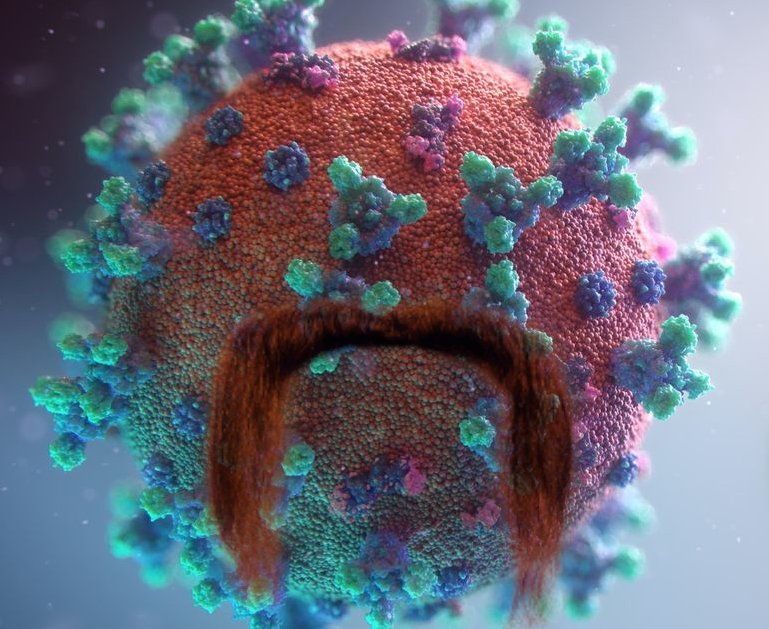 DumbNFTSales's tweet photo. Dumb Covid 19 Omicron Variant NFT on sale. 1000 total https://t.co/PDnHurV5Nz #rarible #ethereum #digitalasset #nft #nfts #dumbnfts #art #artist #digitalart #covid19 #vaccine #vaccinemandate #lockdown #mandate #health #omicron #safety #covid #virus #viral #cdc #biden #investing https://t.co/bbeYKoitIN