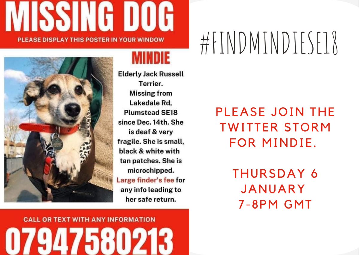 dinkycatSE18's tweet photo. #MissingDog Mindie is 15, deaf & fragile & has been missing from Plumstead in SE London since Dec. 14th. She is microchipped. Mindie is loved & desperately missed. Please RT to help get her home, & please get in touch using the number below with any relevant info. #FindMindieSE18 https://t.co/hLcKGmv0DX