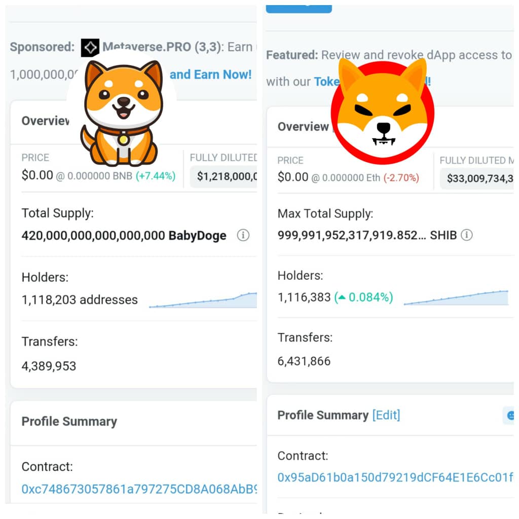 ERICKSONErick10's tweet photo. @babydoge @elonmusk @babydoge🔥🔥🔥🔥🔥🔥🔥🔥🔥🔥🔥🔥🔥 #Detrôné Shiba https://t.co/uXCASTp17q