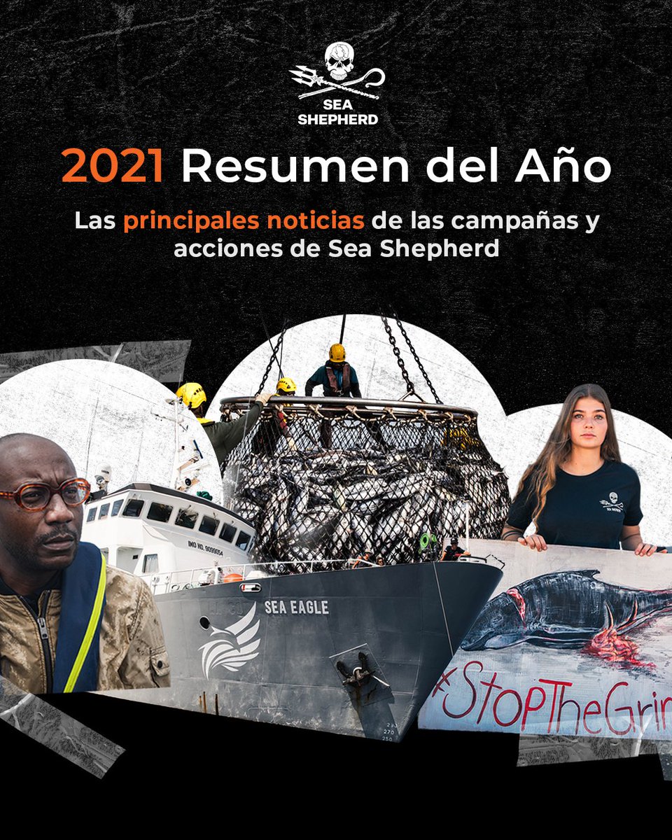 seashepherdarg's tweet photo. Mientras nos preparamos para nuestras campañas para 2022, echemos un vistazo a algunas de nuestras acciones directas destacadas de 2021, posibles gracias al apoyo de nuestros seguidores, incansable tripulación y voluntarios apasionados - tanto en mar como en tierra! ✊🌊🐳🙌🦈 https://t.co/x8fAbEJ56J