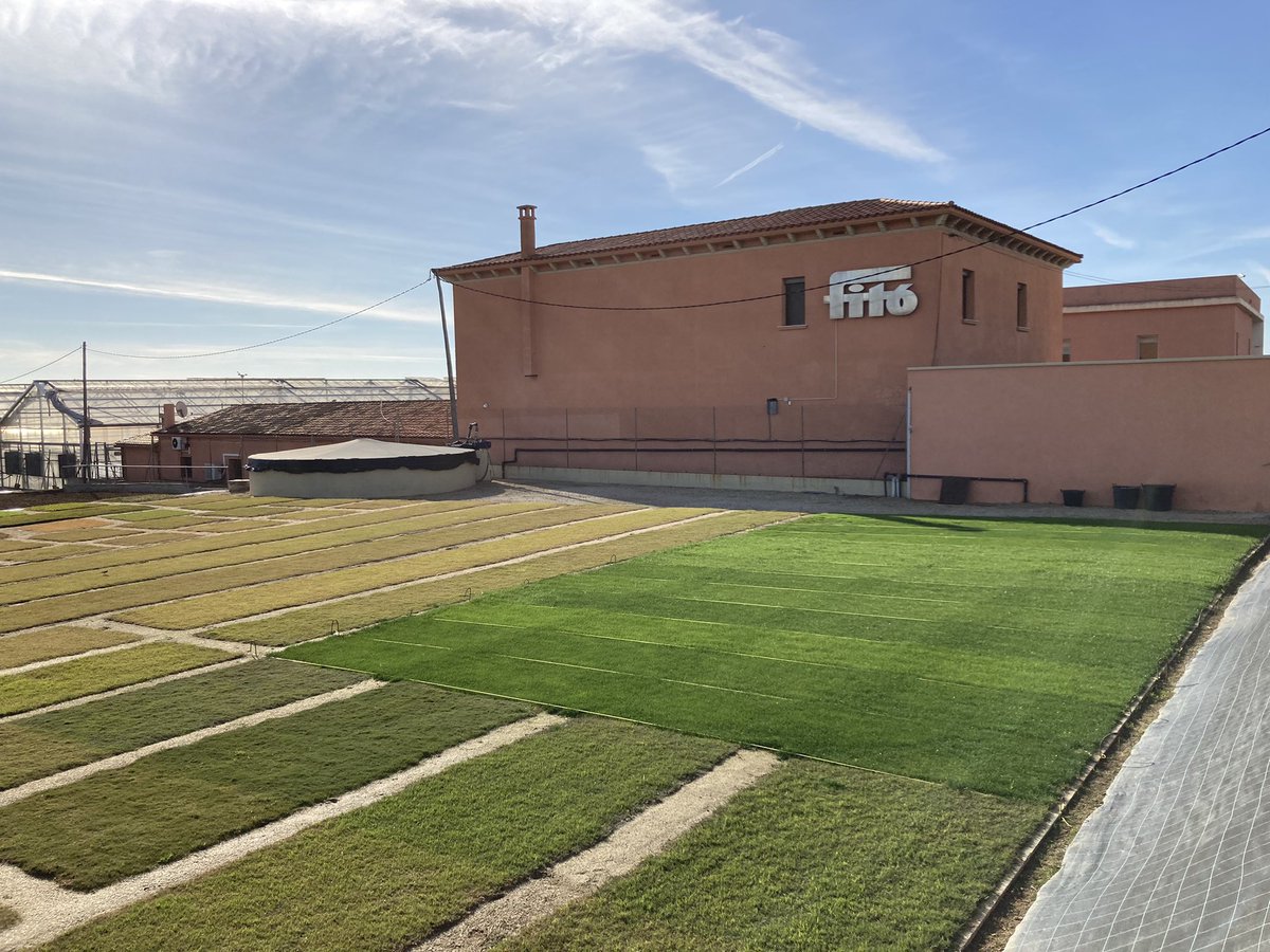 oscarvidi's tweet photo. Este invierno las bermudas y el paspalum se resisten a entrar en latencia. Extraordinaria la gama de colores que ofrecen los ensayos de SEMILLAS FITÓ en Cabrera de Mar, Barcelona
#cynodon #bermuda #Ibiza #gobi #semillasfito https://t.co/ePoDOeldLc