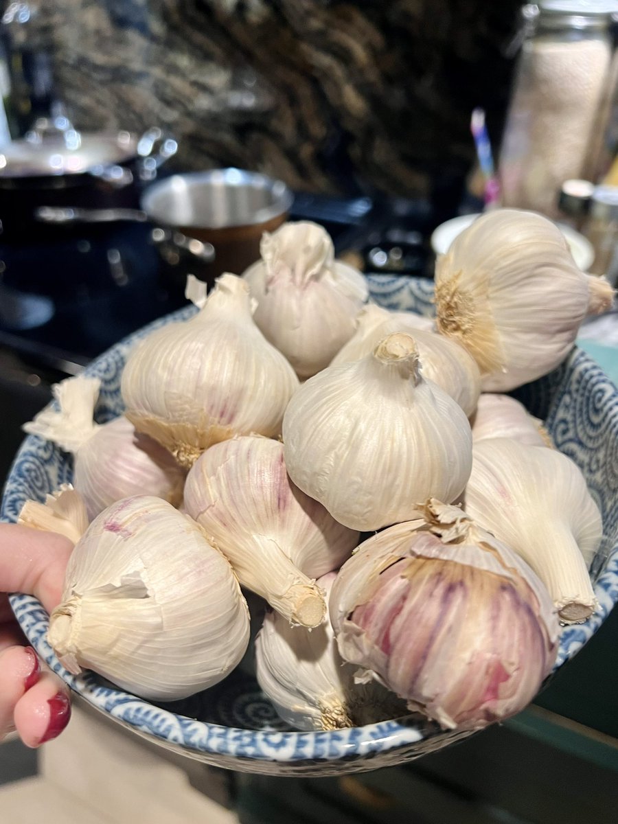 Some people have fruit bowls. Not us.