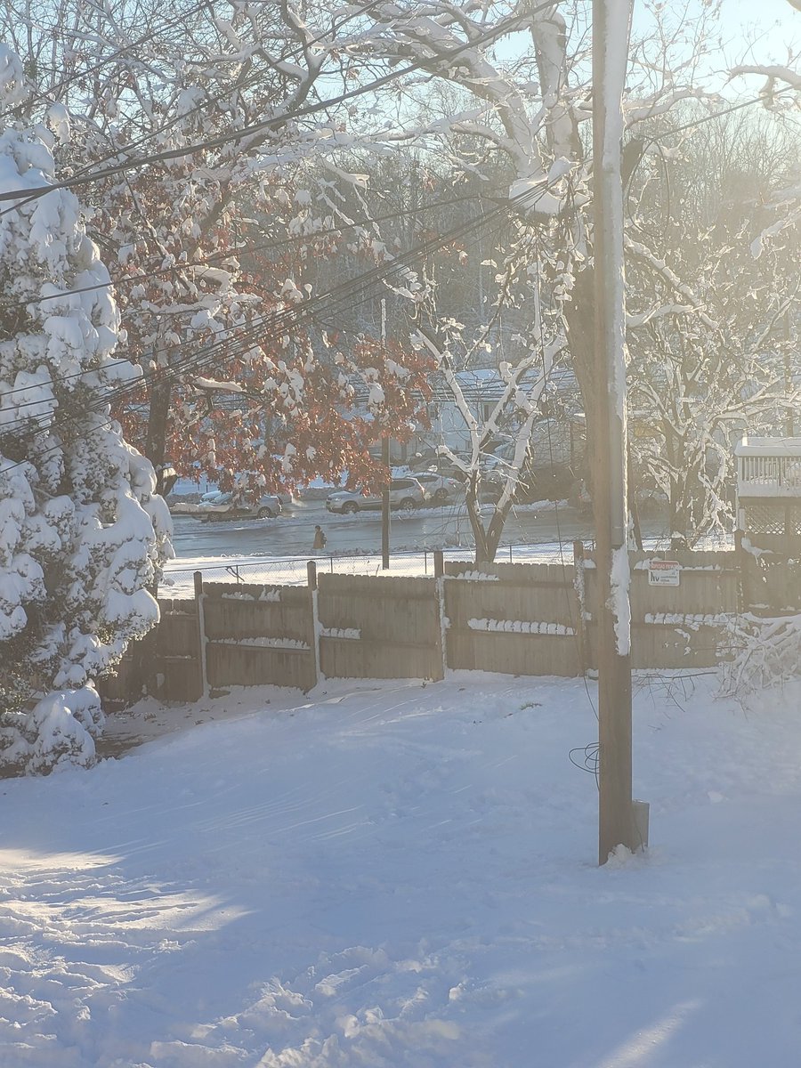 abbyand9's tweet photo. @VaDOT The sun reflection is making it hard to see but that's traffic on Prince William Pkwy heading toward Route 1 near Fred Lynn Middle School. Never seen this before. Guess this is rerouted traffic from 95. https://t.co/BIW2j25He4