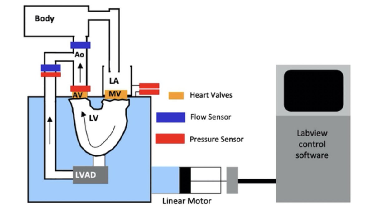 ArtifOrgans's tweet photo. #Dynamic Pressure—flow curve #Analysis of the #NativeHeart and #LVAD for full and #PartialBypass conditions👇
https://t.co/5I7goBJQc9
@KarenMayNewman1 @SDSU #AorticCompliance #Energy #ExternalWork #ValveOpening https://t.co/QY3YsZy35H