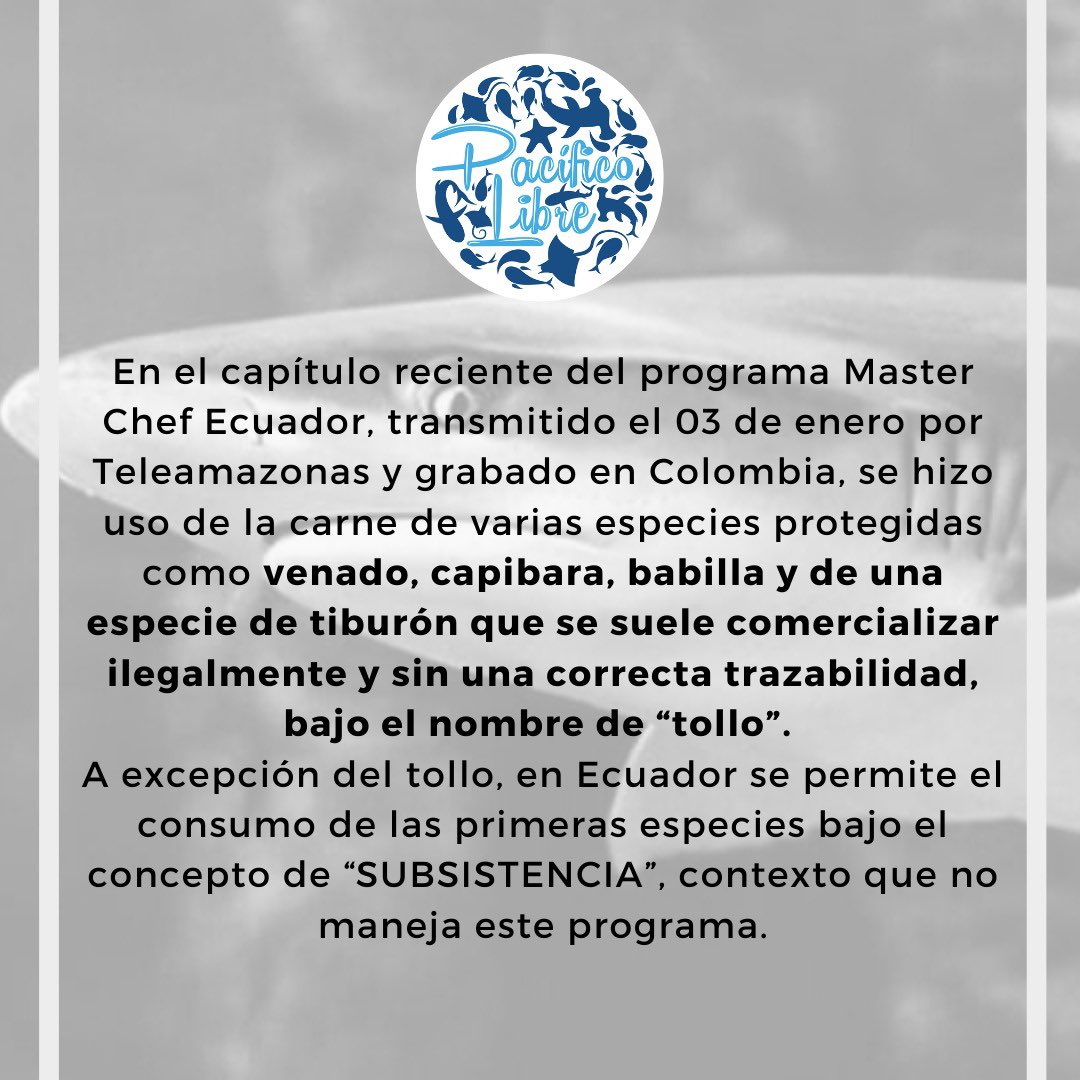 Pacifico Libre tweet media