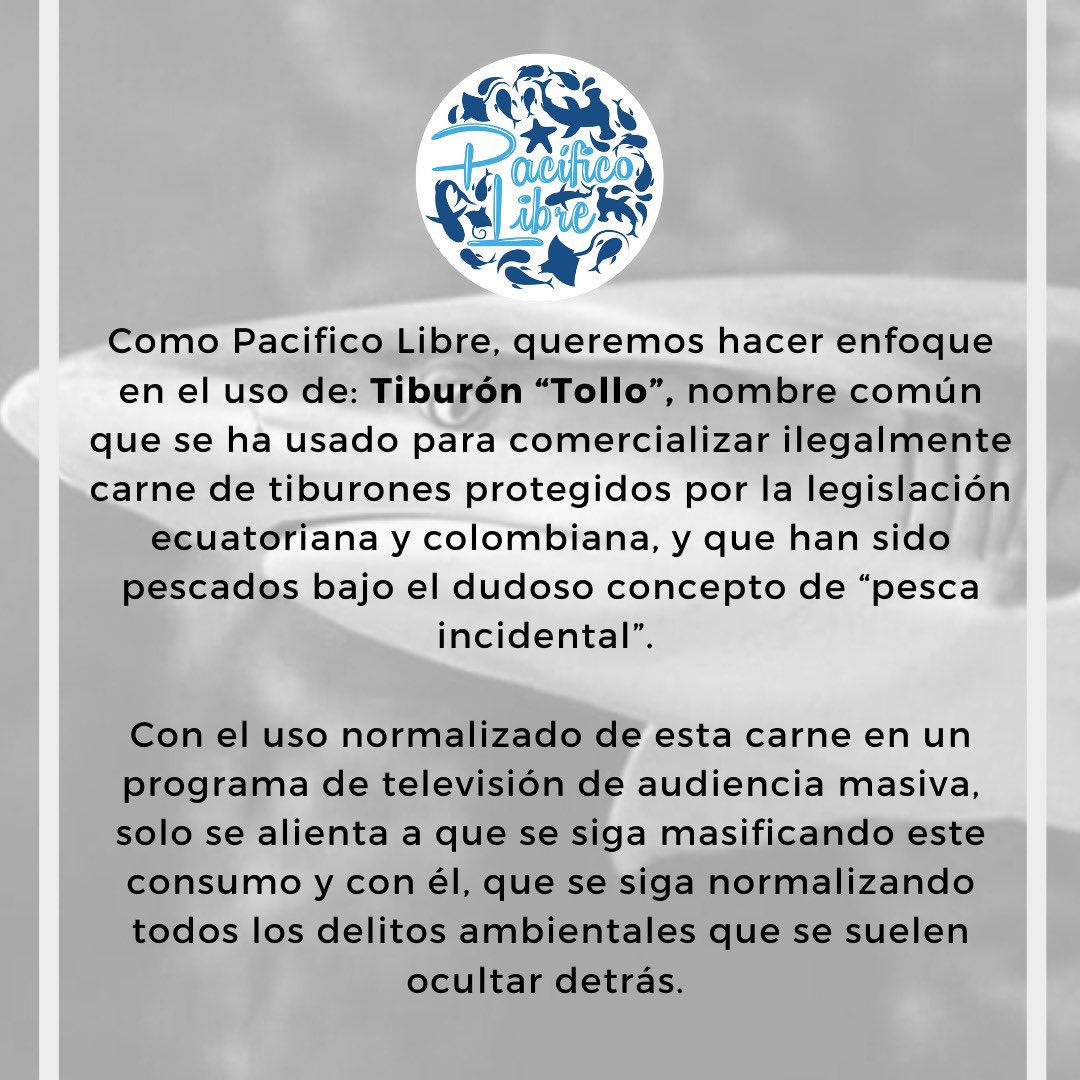 Pacifico Libre tweet media