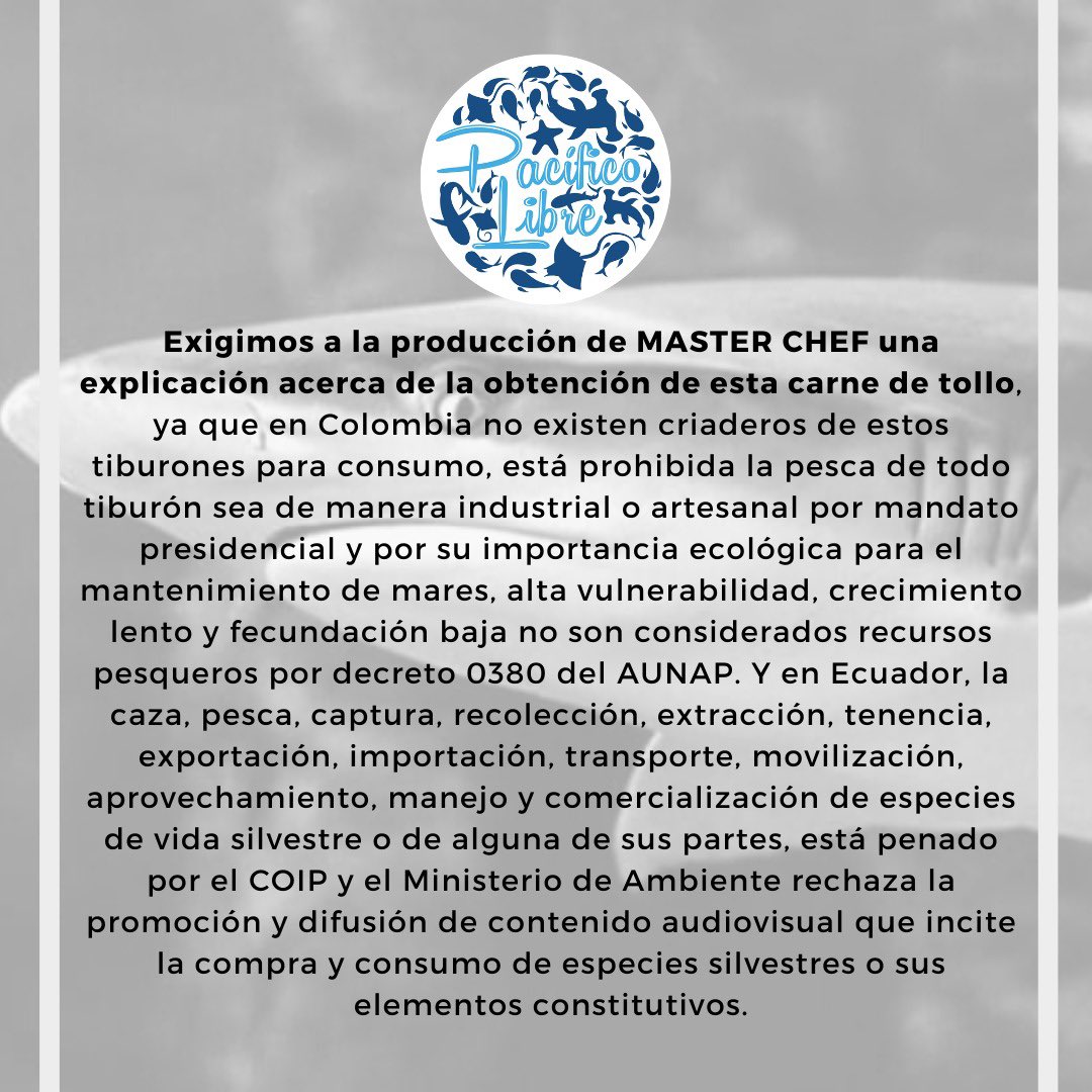 COMUNICADO @teleamazonasec tiene que hacerse responsable de sus acciones al emitir el episodio donde se consume carne de tiburón mal etiquetada como “tollo” y demás especies silvestres que están protegidas en ambos países de Ecuador y Colombia. @Ambiente_Ec brilla por su ausencia