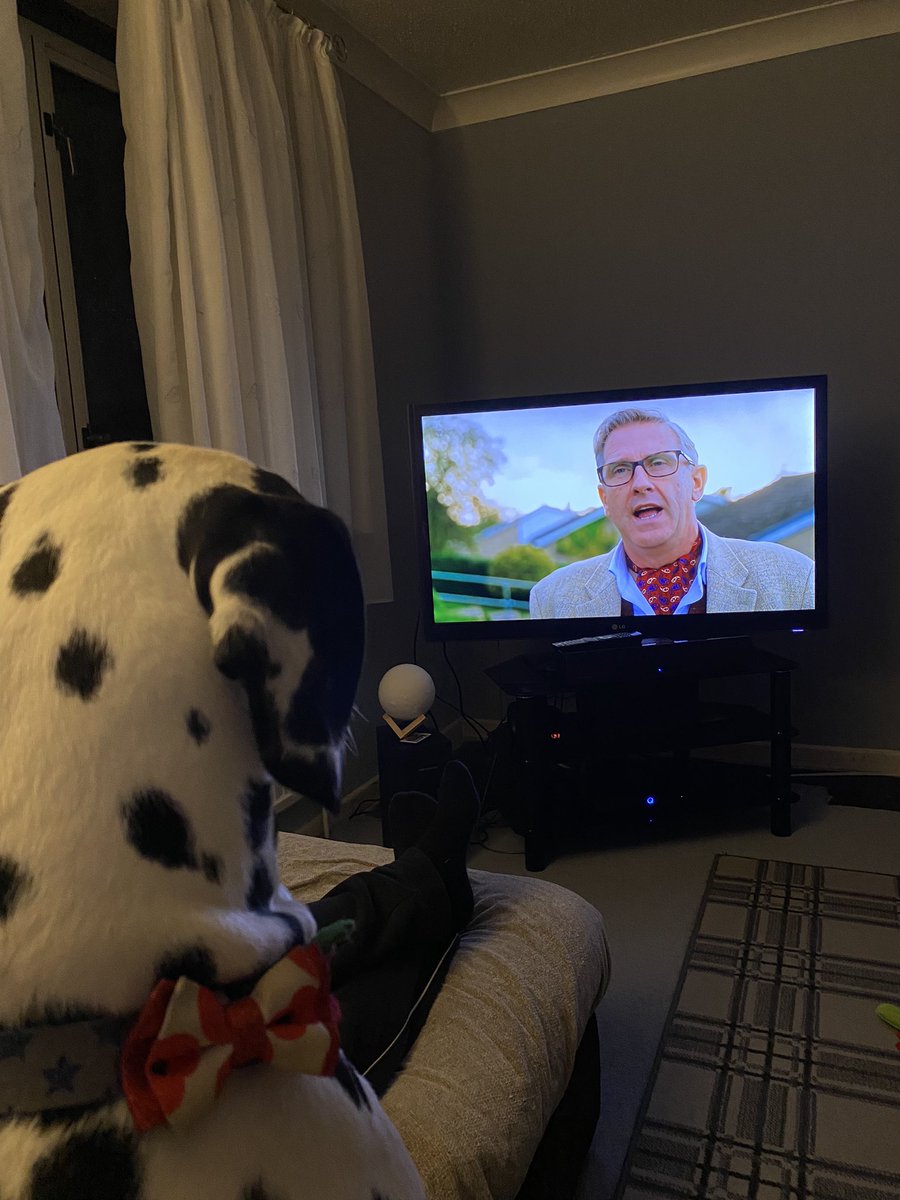 Sclaire88's tweet photo. @GraemeDogfather a happy Loki now that his show is back on!! @channel5_tv https://t.co/8hhszFW4Vd