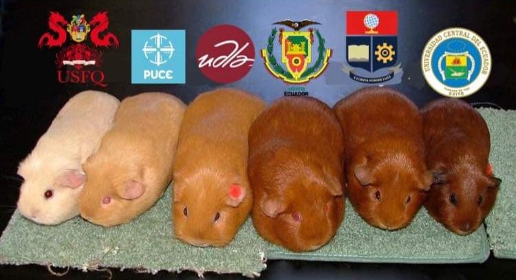 memesespeu's tweet photo. https://t.co/SB7Ip0UIeH