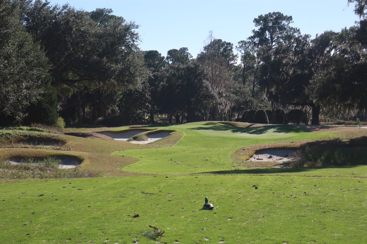 Andrew Harvie tweet media