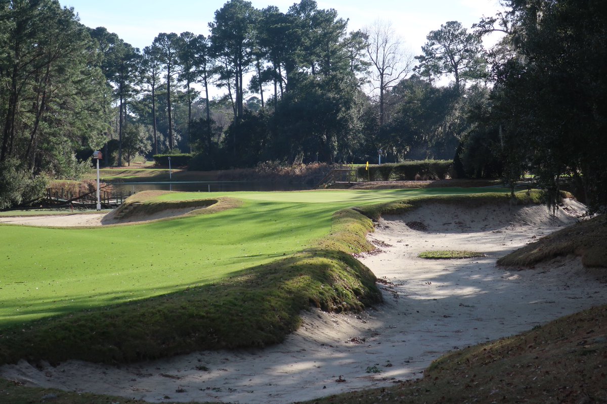 Andrew Harvie tweet media